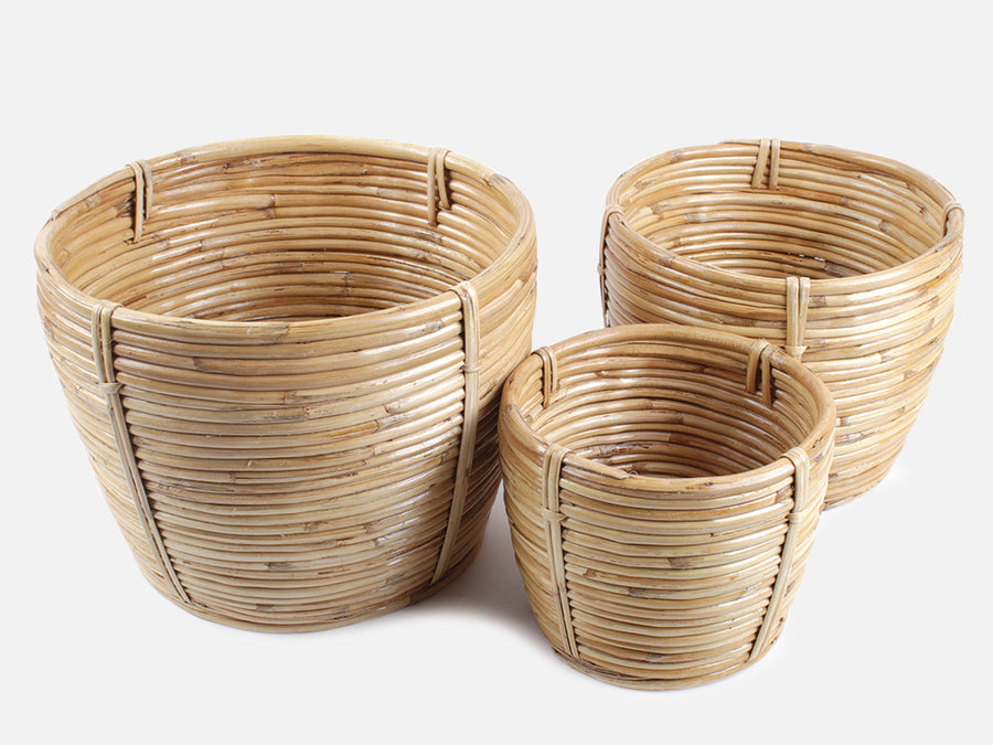 Bamboo Pot // Three Sizes